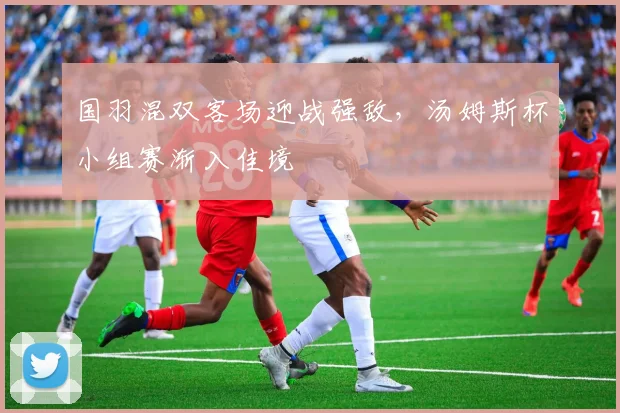 国羽混双客场迎战强敌，汤姆斯杯小组赛渐入佳境 - 懂球帝资讯