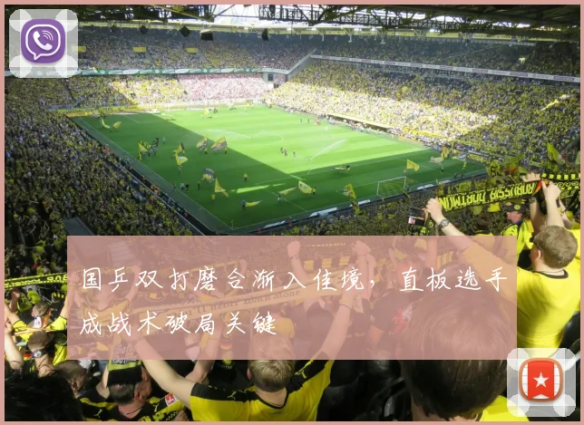 国乒双打磨合渐入佳境，直板选手成战术破局关键 - 懂球帝推荐