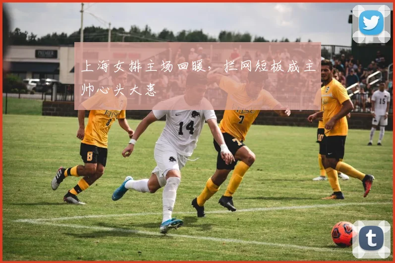 上海女排主场回暖,拦网短板成主帅心头大患 - 懂球帝推荐